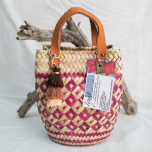 Bolso mini de palma-San Luis Amatlàn, Oaxaca.